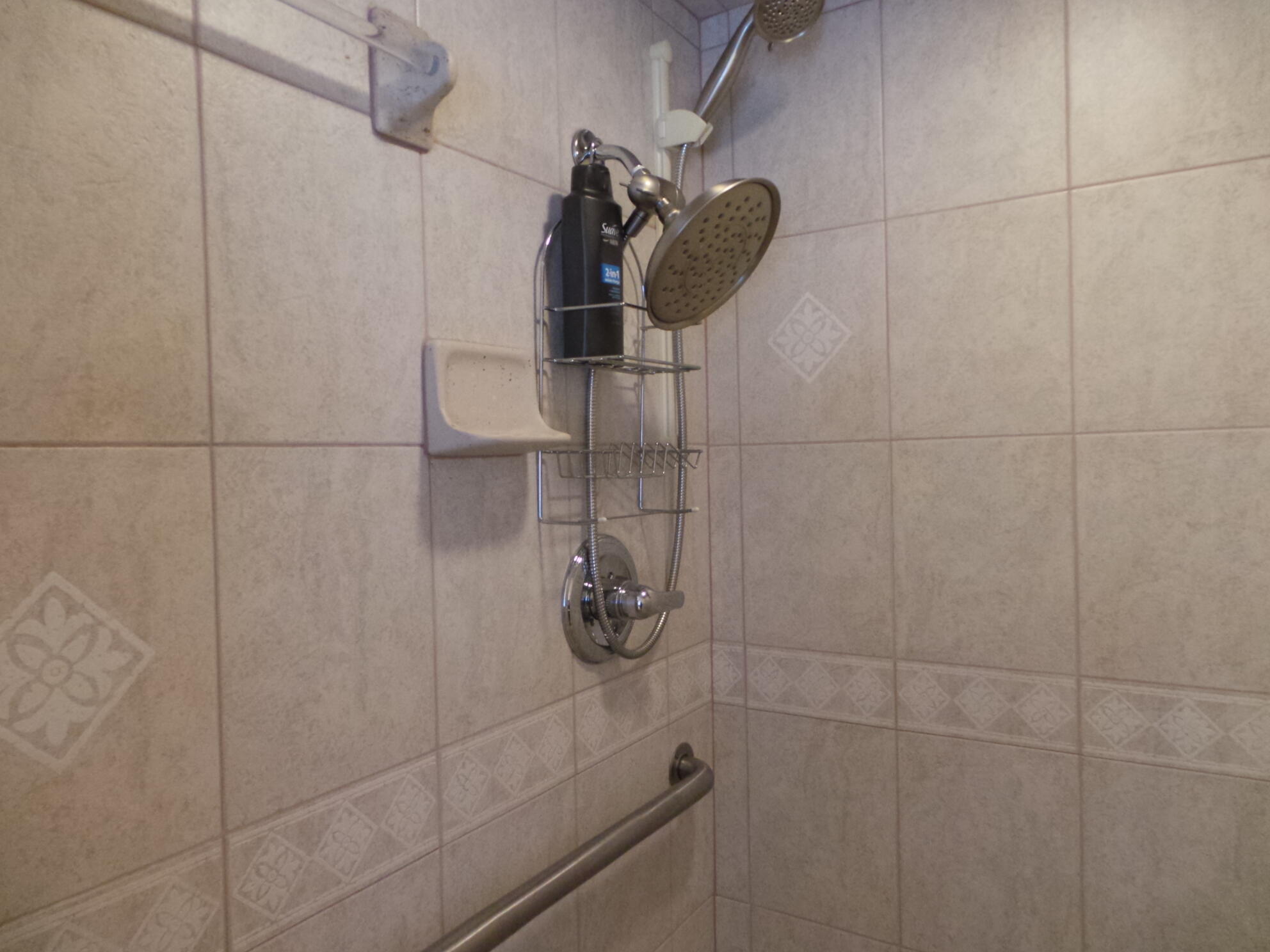 169 Laurel View Road Jonesborough, TN 37659 - Photo 85 of 159 OVERSIZED SHOWER