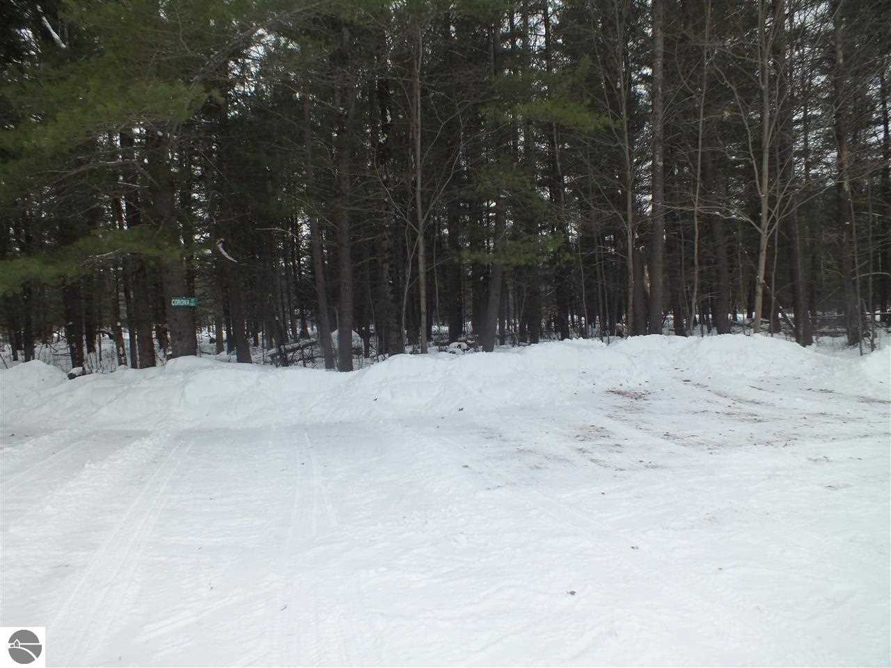 4301 Lund Road Southwest Fife Lake, MI 49633 - Photo 28 of 30 1794918-29.JPG
