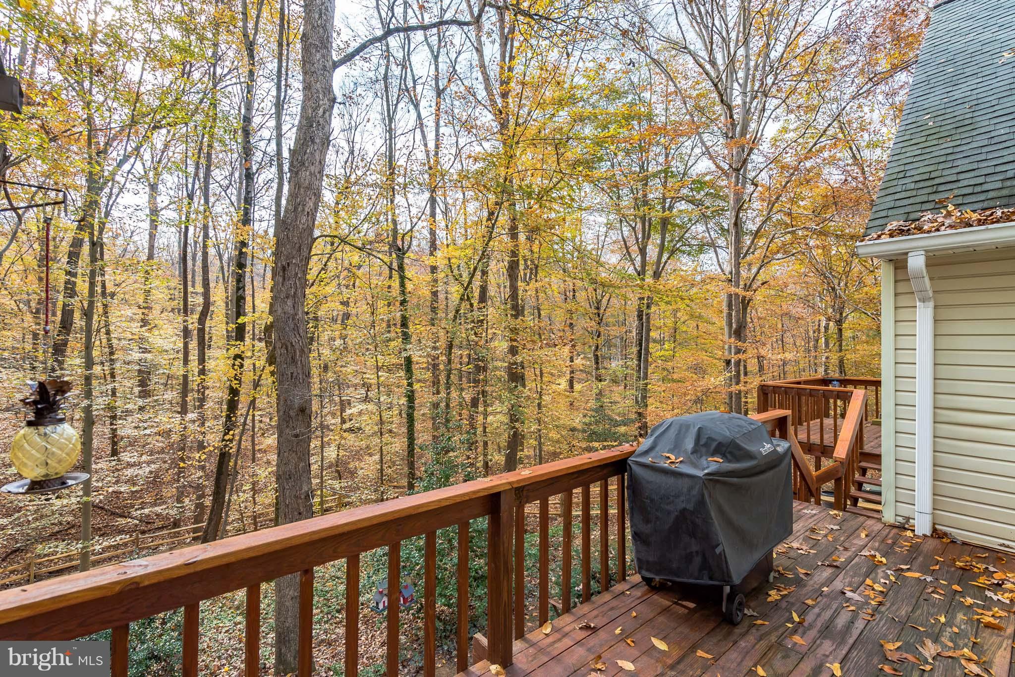 8091 Counselor Road Manassas, VA 20112 - Photo 10 of 30 Deck Overlooking Woods