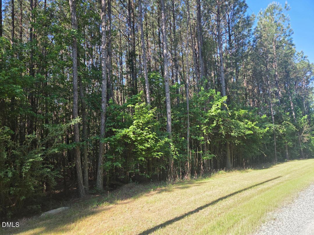 0 Arborgate Road Pittsboro, NC 27312 - Photo 1 of 1 a view of outdoor space and yard