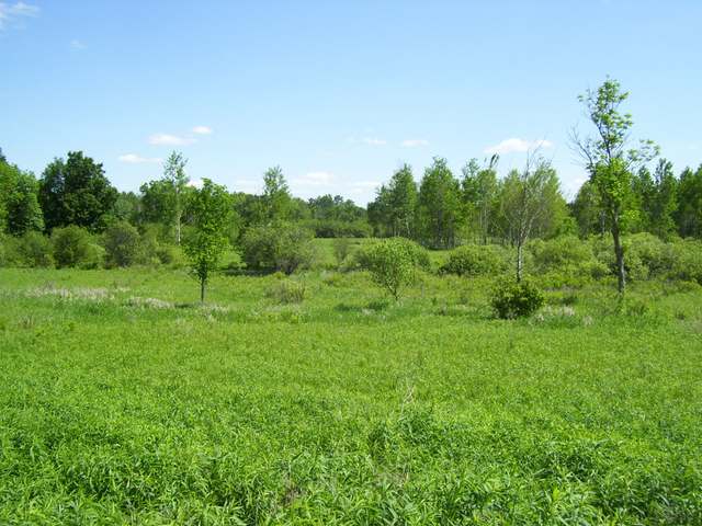 On Nehrbass Road Athens, WI 54411 - Photo 5 of 15 Gallery Image 5