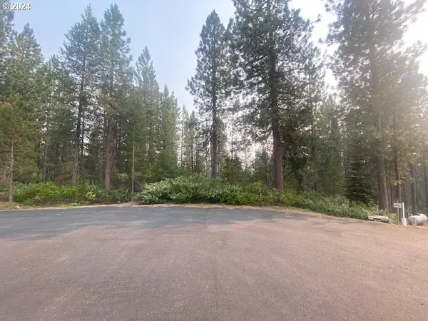 a view of a field with trees in the background