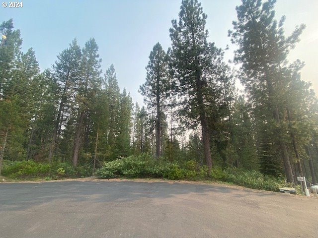 Snow Flake Court, Unit 22 Crescent Lake, OR 97733 - Photo 6 of 9 a view of a roadside with trees
