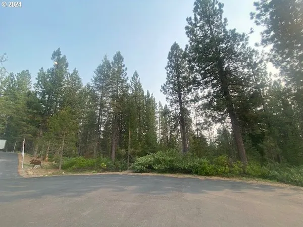 a view of a road with trees in front of it