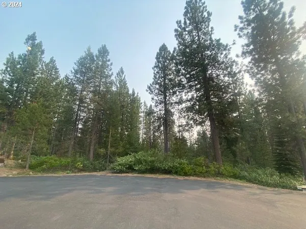 a view of a road with a trees in the background
