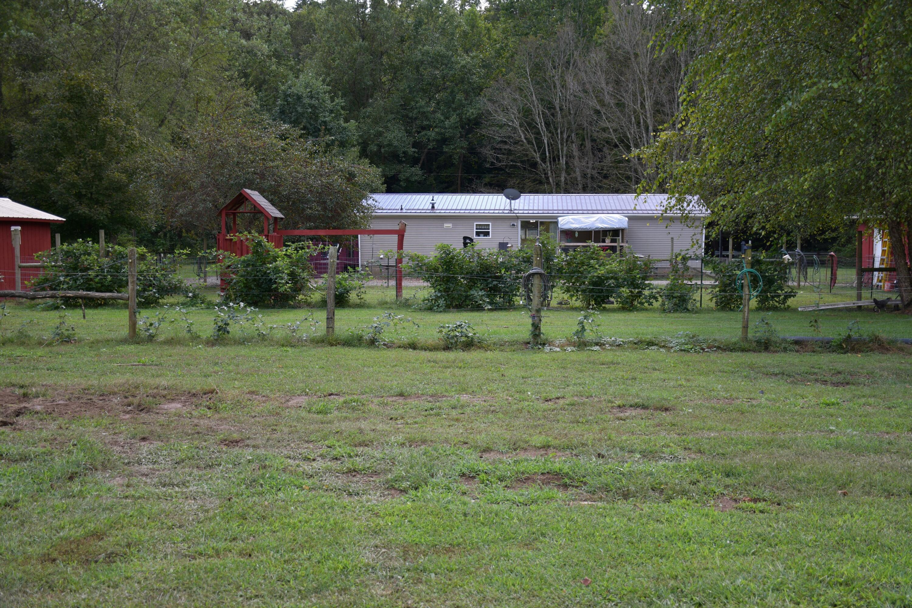 2449 Stewart Hollow Road Peebles, OH 45660 - Photo 7 of 36