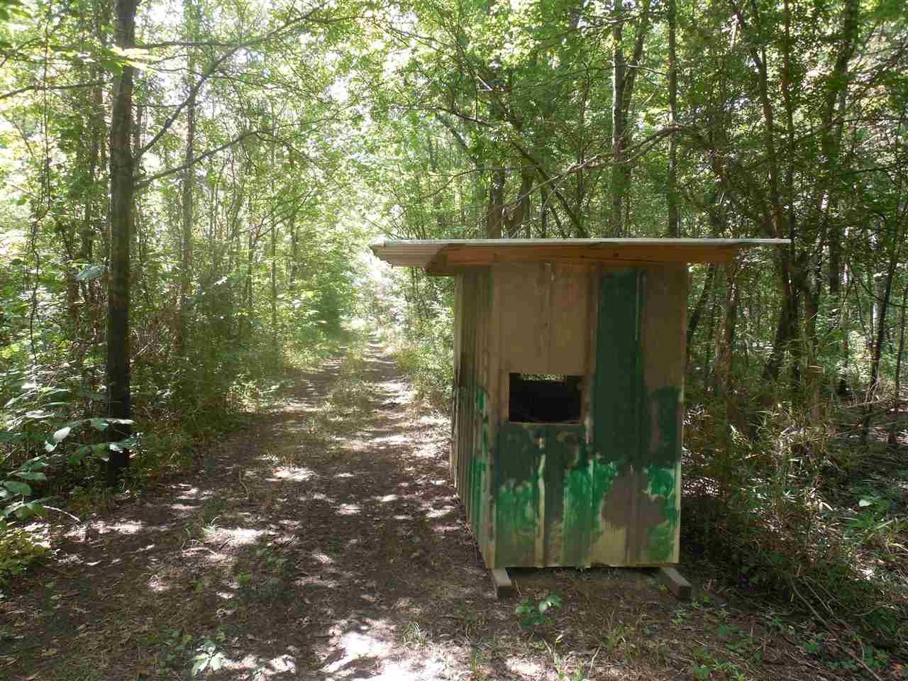 0 Mound City Road Beulah, MS 38726 - Photo 12 of 17 Photo 12