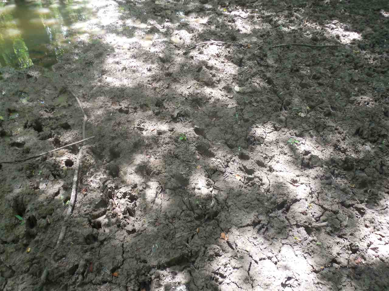 0 Mound City Road Beulah, MS 38726 - Photo 8 of 17 Photo 8