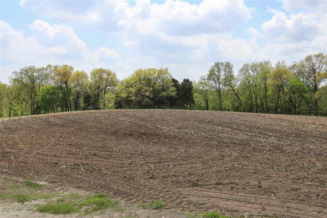 0 Sandhill Road Cascade, IA 52033 - Photo 18 of 19 Gallery Image 18