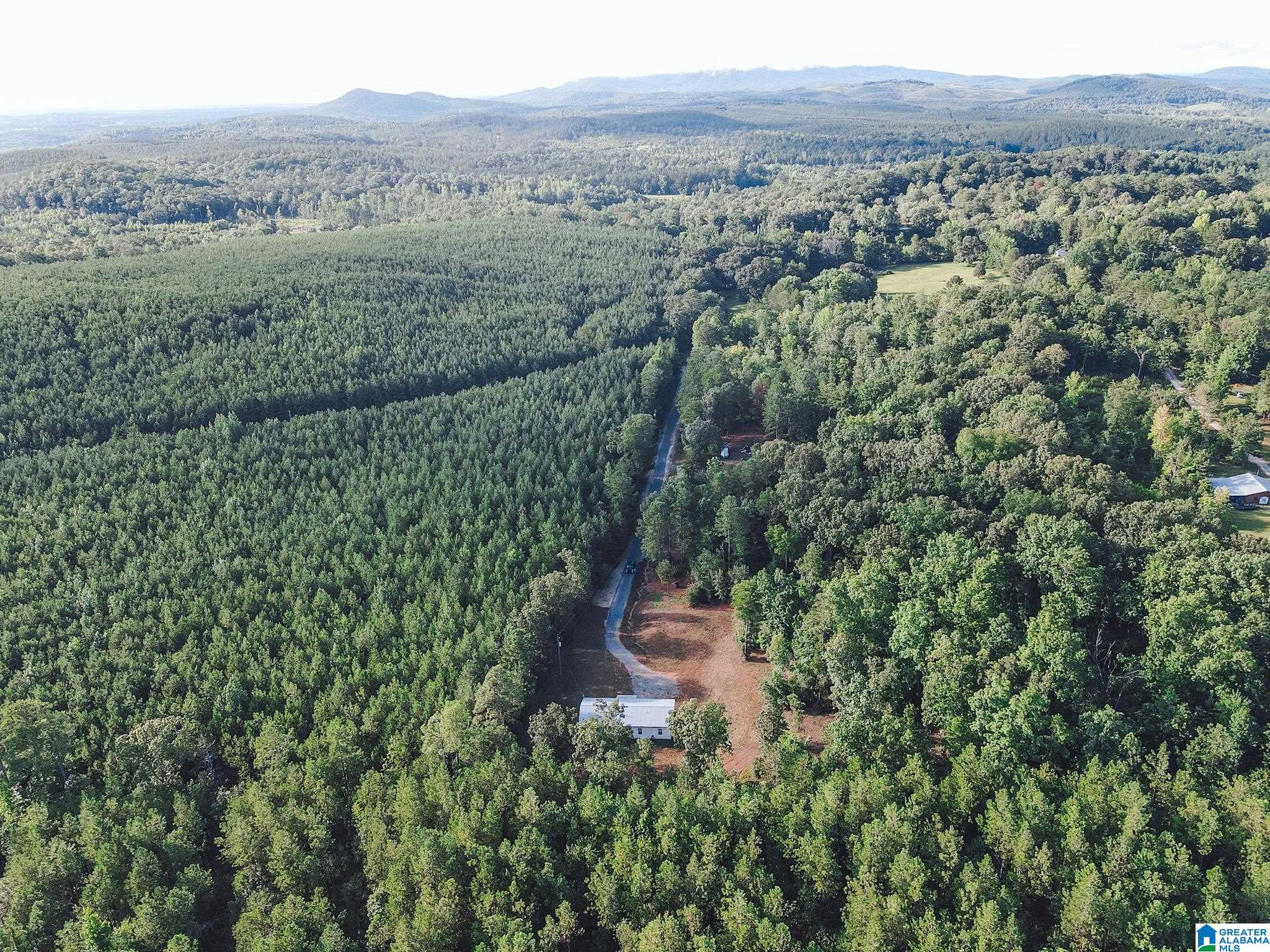 2636 Roy Webb Cutoff Road Piedmont, AL 36272 - Photo 32 of 44