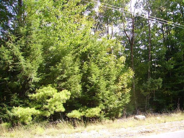 130 Stage Coach Road Clifton, ME 04428 - Photo 1 of 1 Photo