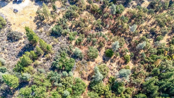 a view of a yard with a tree