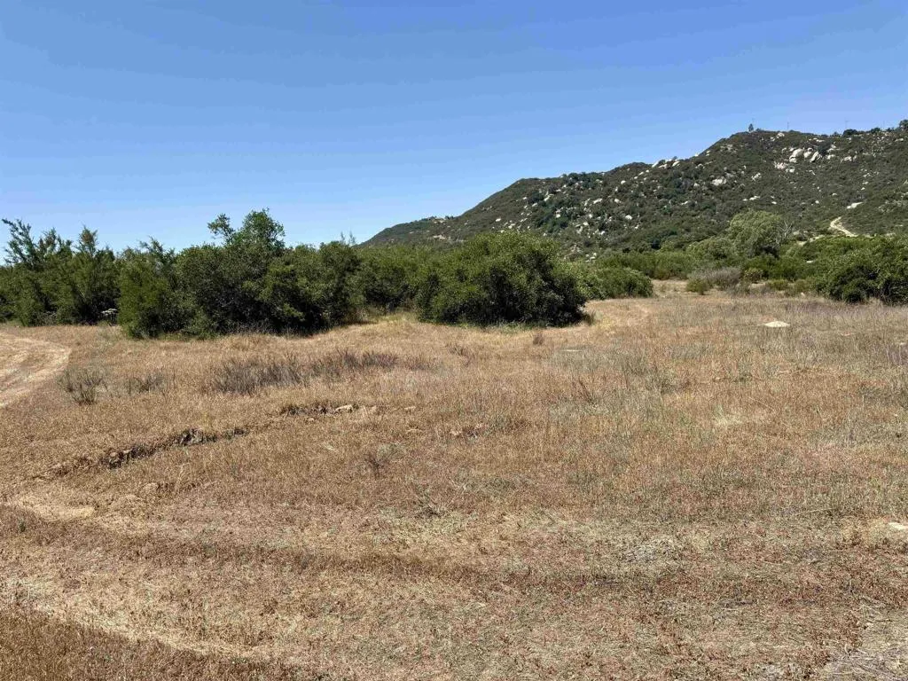 0 Mt Olympus Valley Road Fallbrook, CA 92028 - Photo 8 of 50 a view of a dry yard with mountains in the background