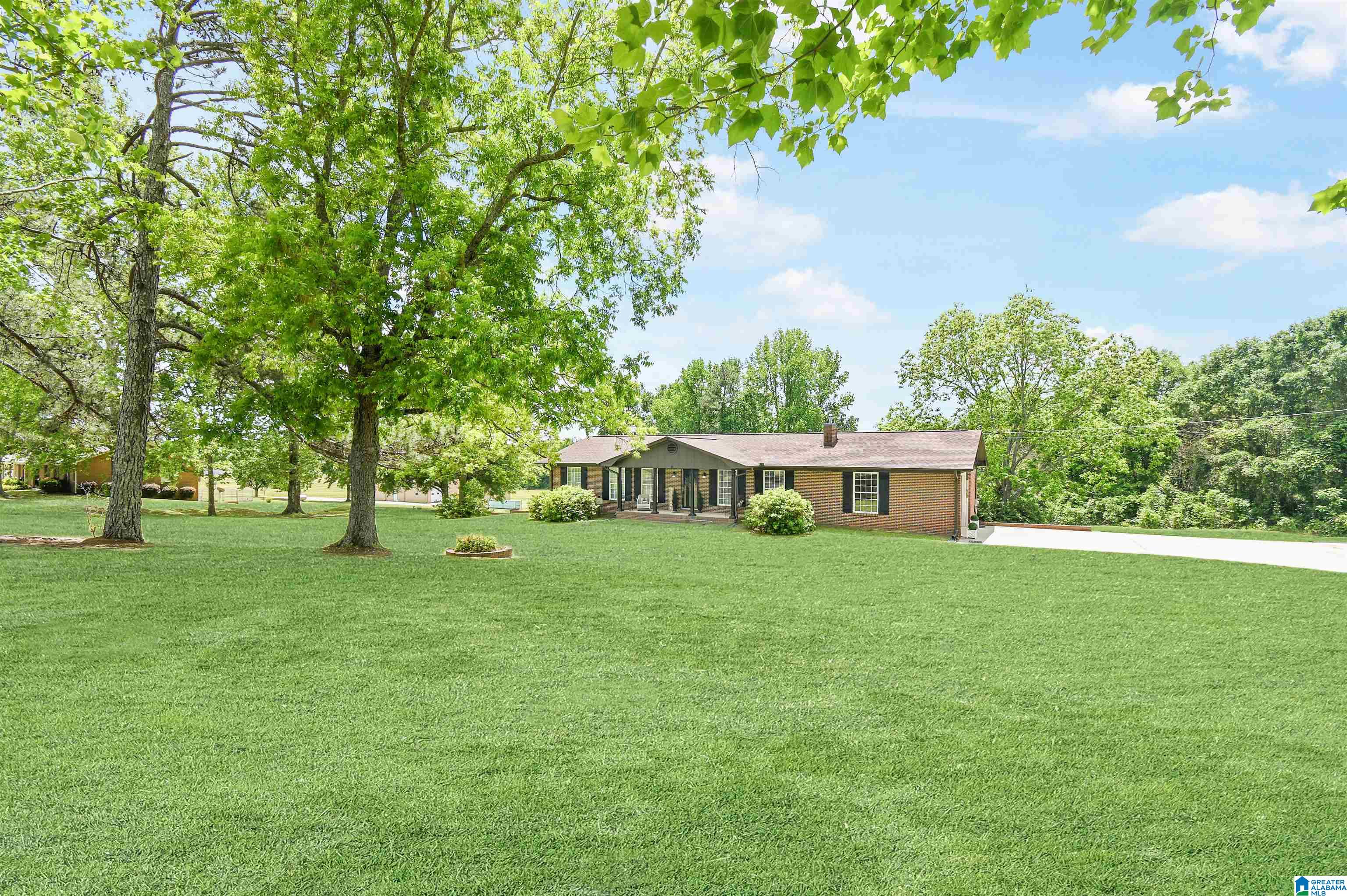 3900 County Road 7 Clanton, AL 35045 - Photo 3 of 32