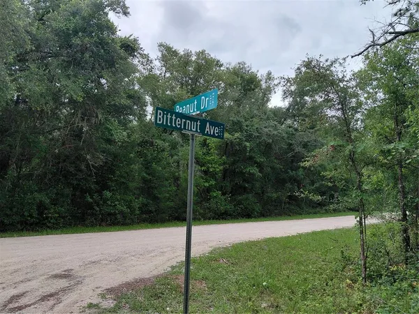 $49,000 | Peanut Drive, Webster, FL 33597