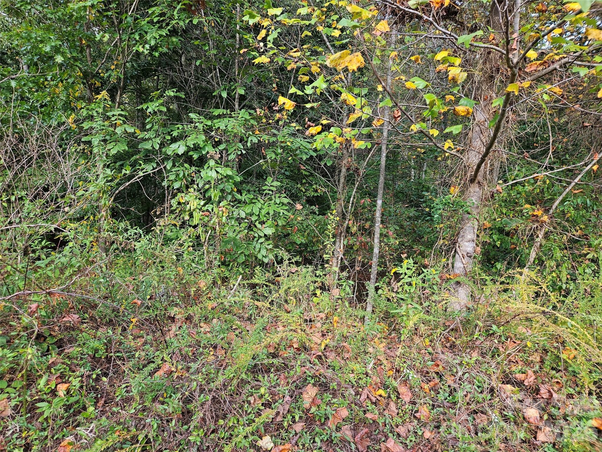 0 Hickory Loop Road, Unit LOT 36 Tryon, NC 28782 - Photo 4 of 8