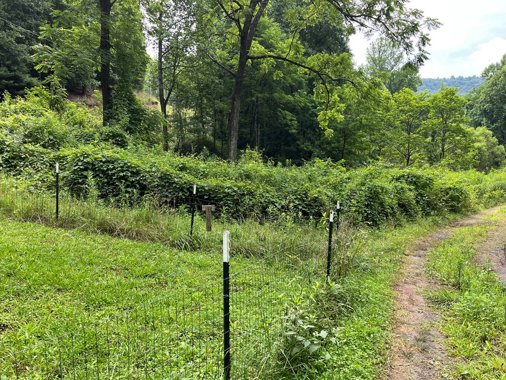 0 Bates Creek Road Murphy, NC 28906 - Photo 2 of 7