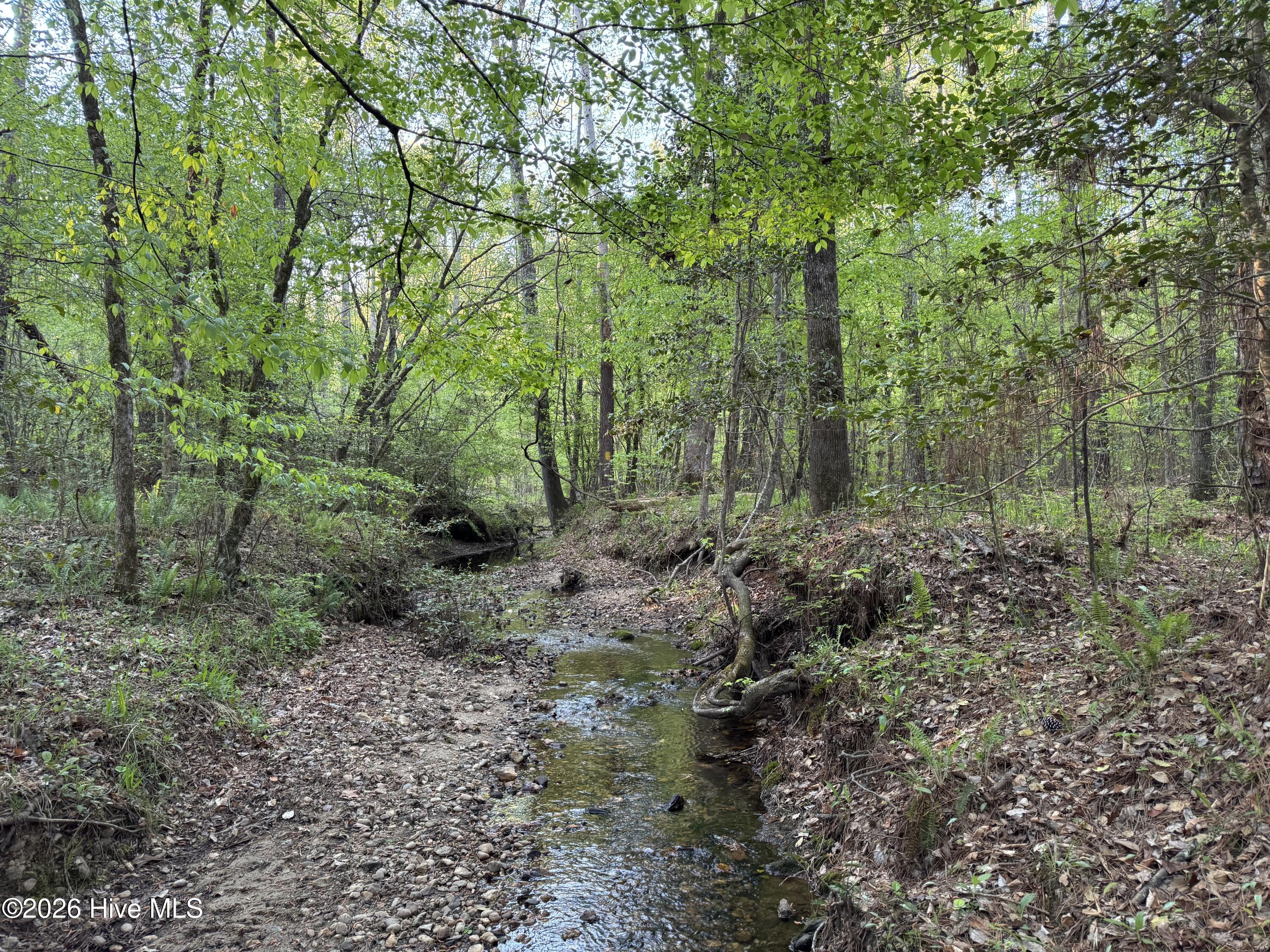 0 Cartledge Creek Road Rockingham, NC 28379 - Photo 18 of 32 Cartledge Creek