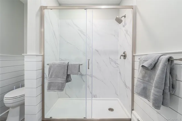 a bathroom with a shower and toilet
