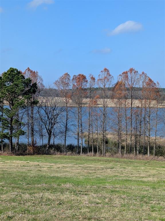 7710 Shore Crest Way Athens, TX 75752 - Photo 2 of 17