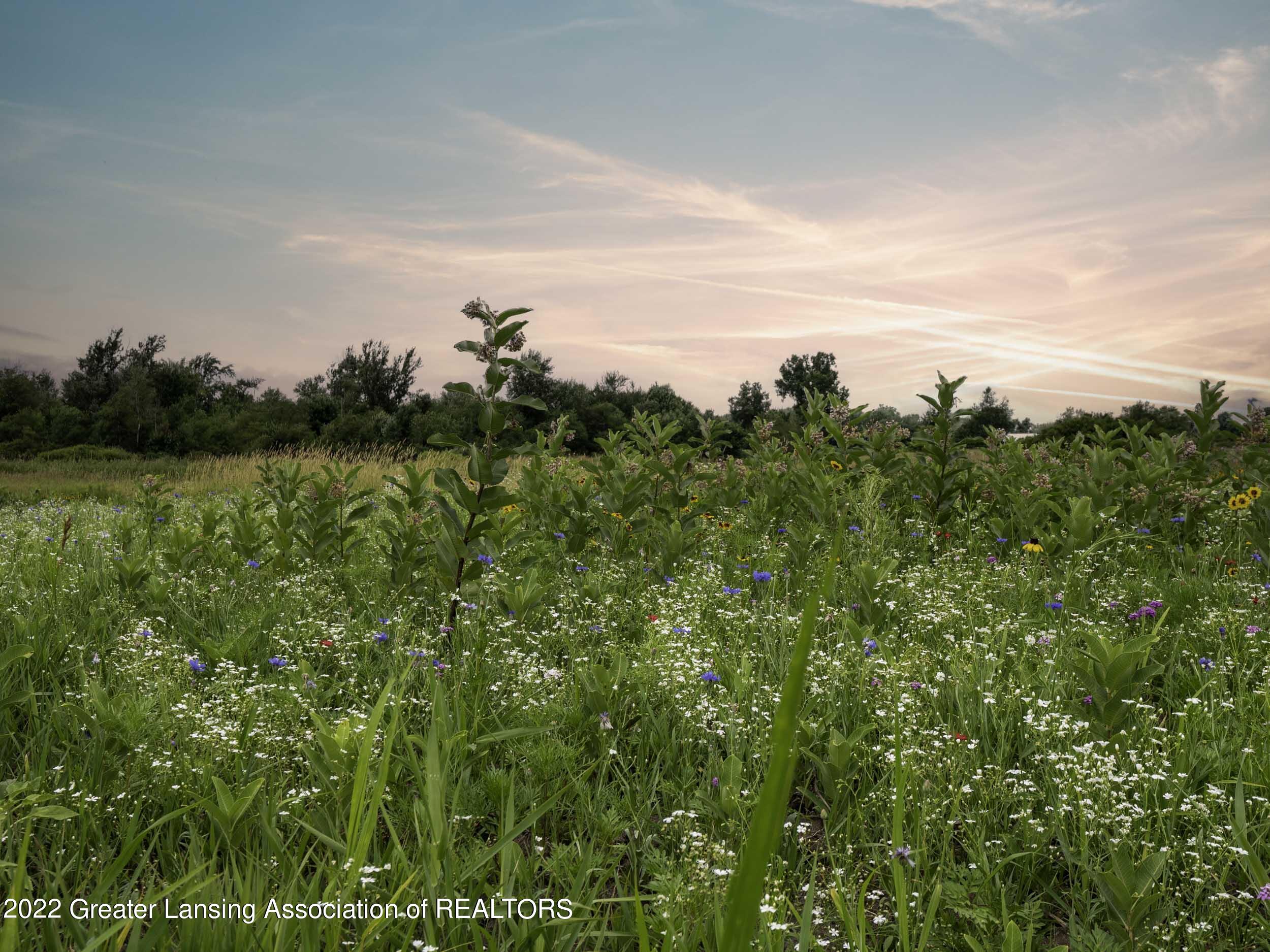0 Shaftsburg Road Williamston, MI 48895 - Photo 12 of 20 Shaftsburg_Rd_001_020-HDR-Edit-Edit