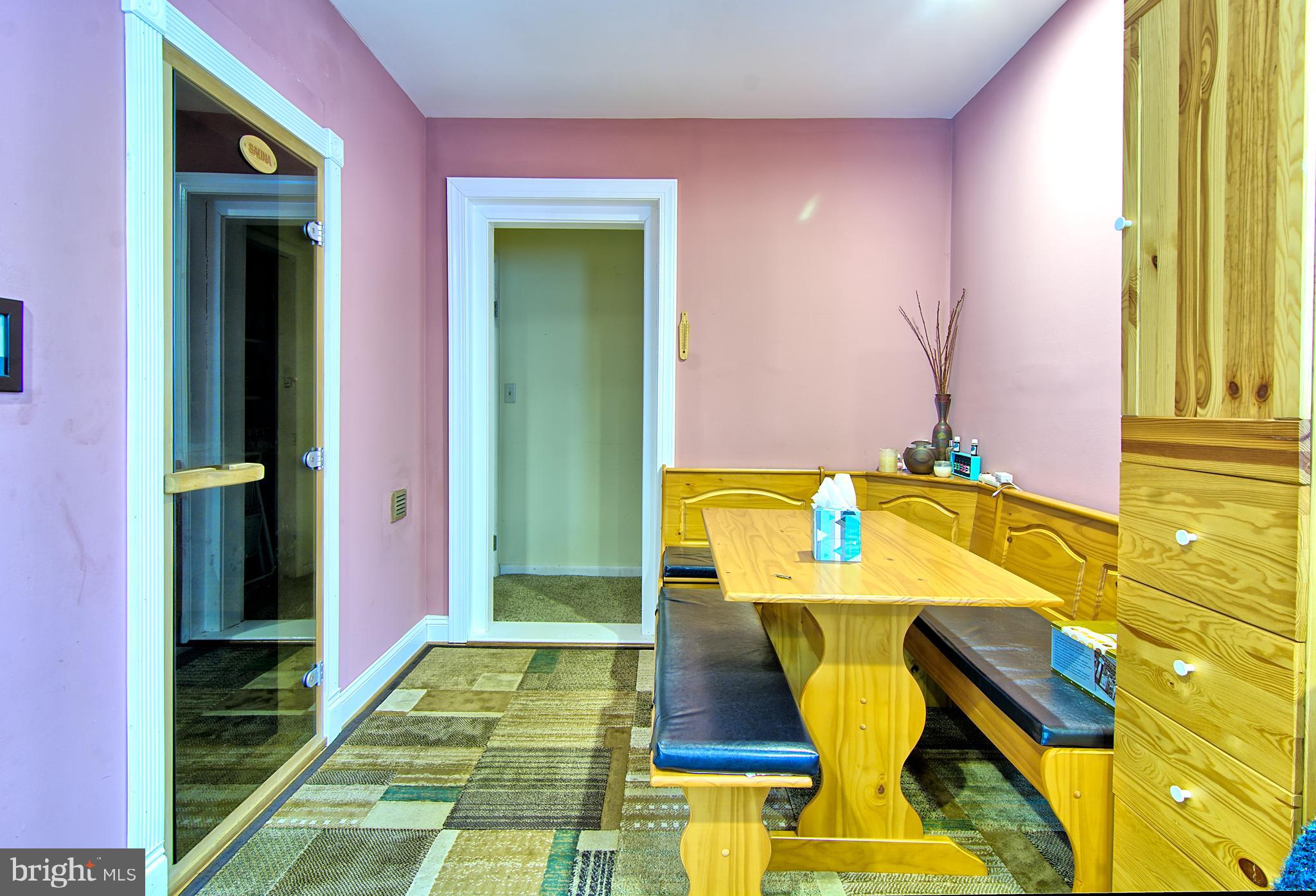3019 Caves Road Owings Mills, MD 21117 - Photo 12 of 46 Game Room w/ Full Bath and Sauna