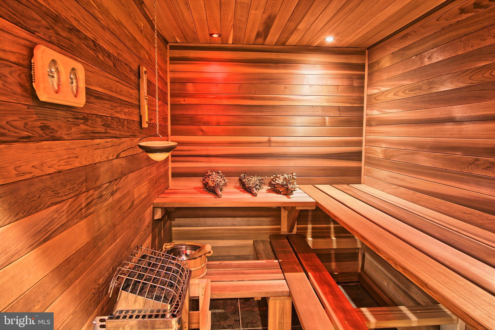 3019 Caves Road Owings Mills, MD 21117 - Photo 13 of 46 Built-in Sauna