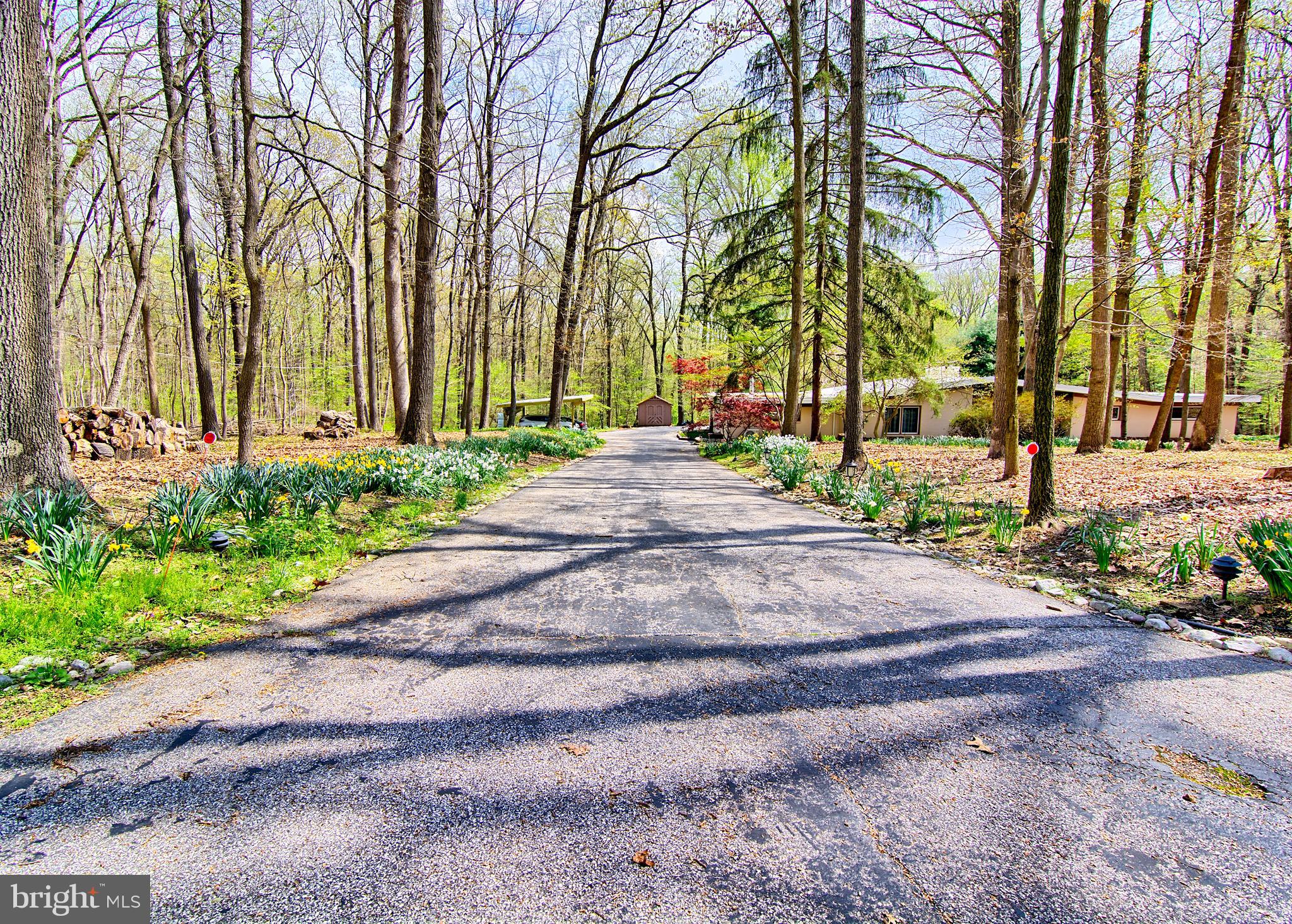 3019 Caves Road Owings Mills, MD 21117 - Photo 38 of 46 Long Private Driveway