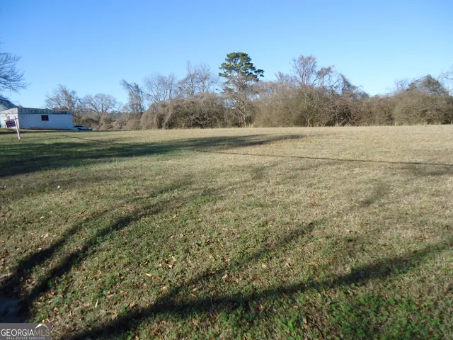 a view of a field with an ocean