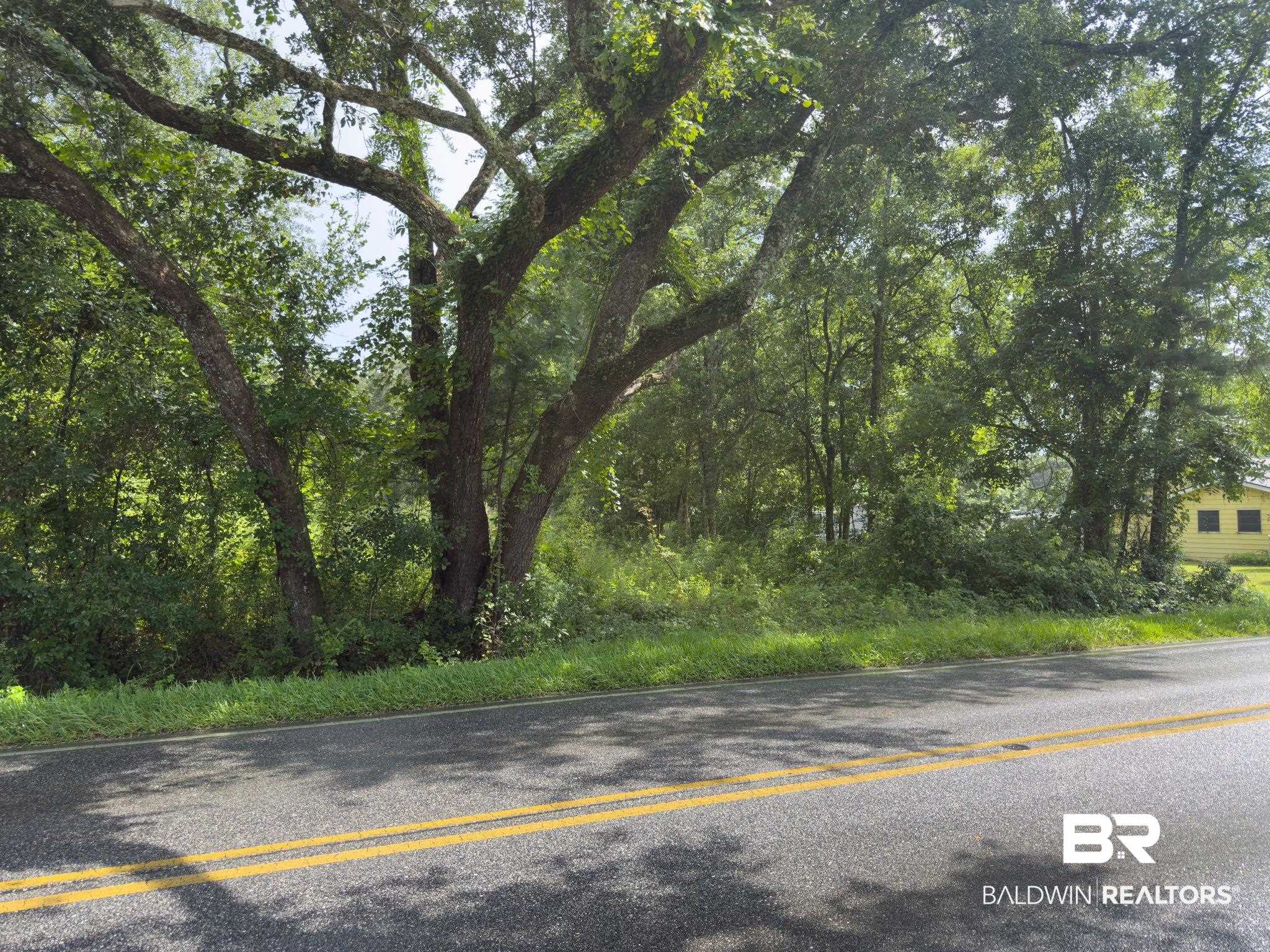 7360 Twin Beech Road Fairhope, AL 36532 - Photo 2 of 16 View of asphalt road