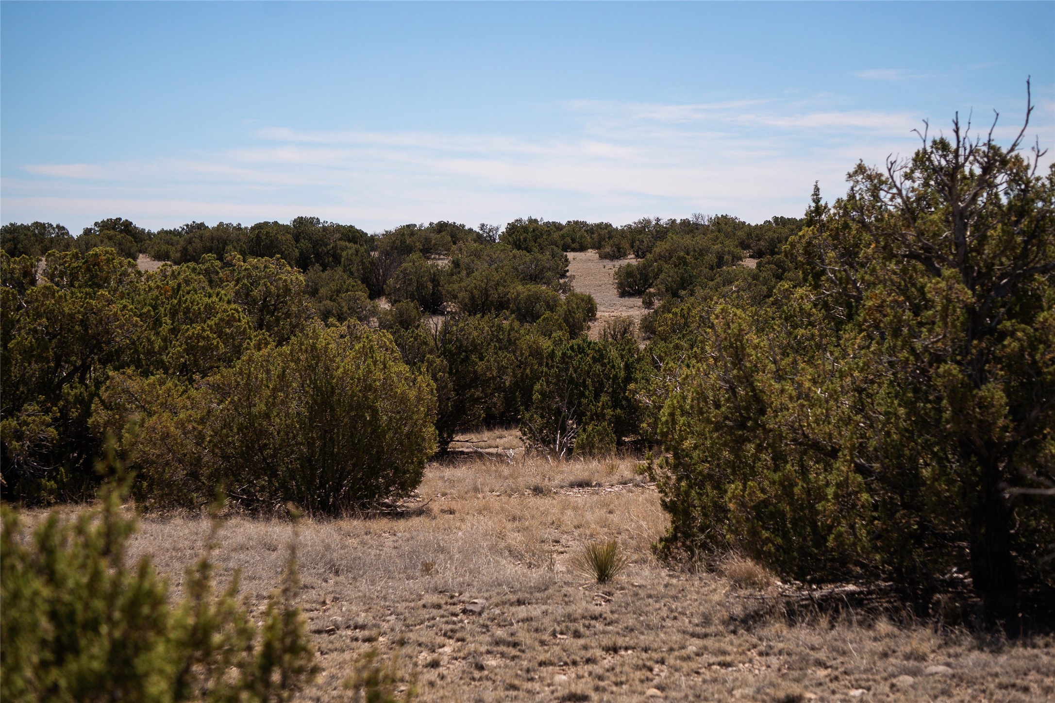 7 C Rancho De Shama, Unit A Cerrillos, NM 87010 - Photo 6 of 19
