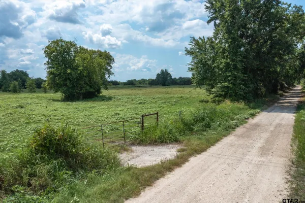a view of a field with an ocean