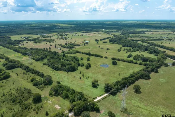 a view of a lush green forest with lots of trees and houses