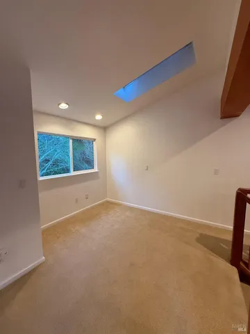 a view of a yard with plants and large trees