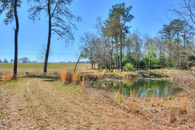 261 Farmfield Road Aiken, SC 29805 - Photo 42 of 45