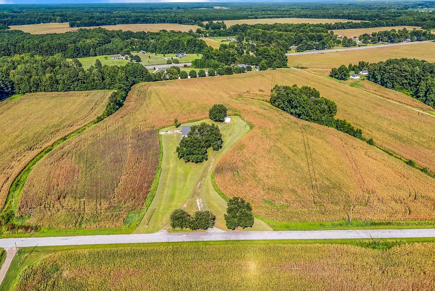 3568 State Rd S-14-401 Alcolu, SC 29001 - Photo 37 of 65 Gallery Image 37