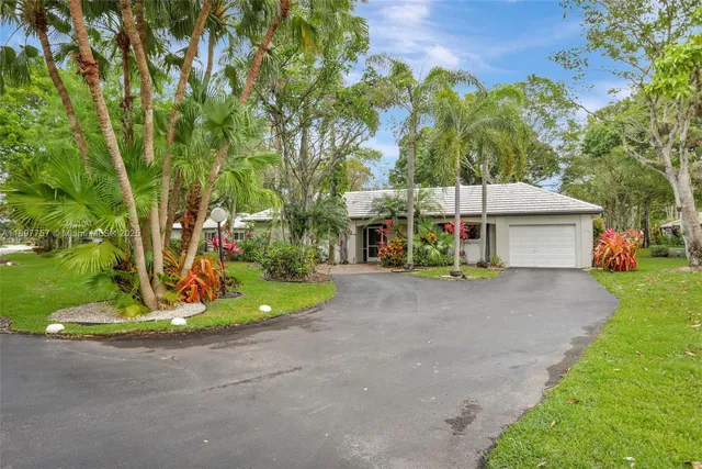 a palm tree sitting in front of a house with a yard