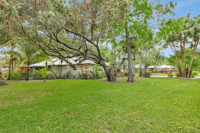 a view of a big yard with plants and large trees