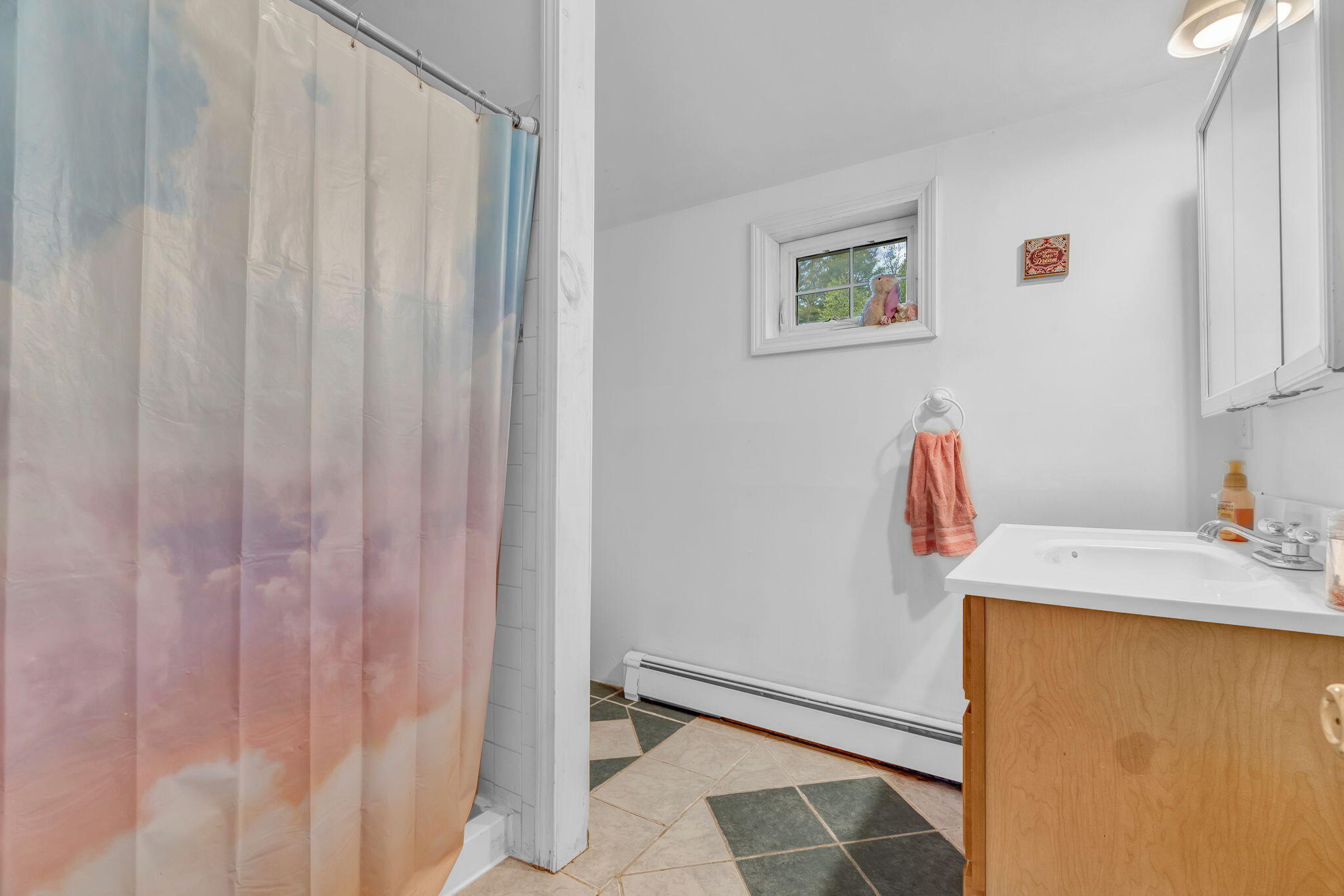 167 Shore Road Dexter, ME 04930 - Photo 23 of 57 11-web-or-mls-167-shore-rd