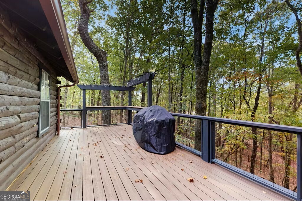 325 Pettit Ridge Road Ellijay, GA 30536 - Photo 25 of 43
