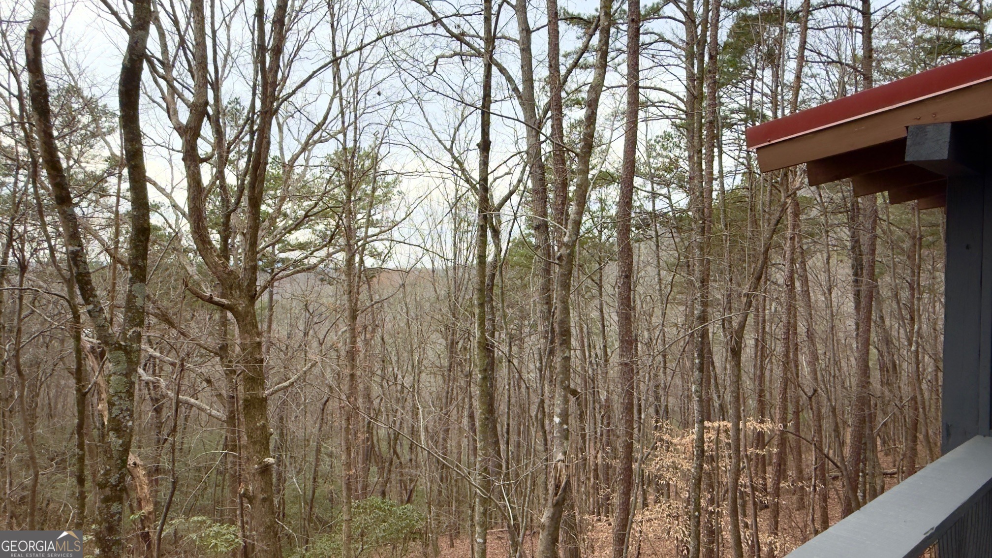 325 Pettit Ridge Road Ellijay, GA 30536 - Photo 4 of 43