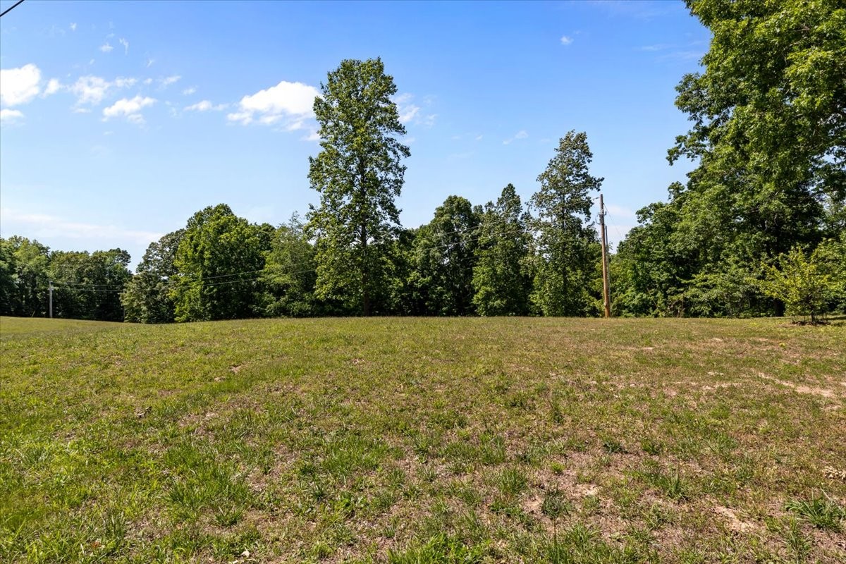 254 Shiloh Hollow Road Erin, TN 37061 - Photo 58 of 63