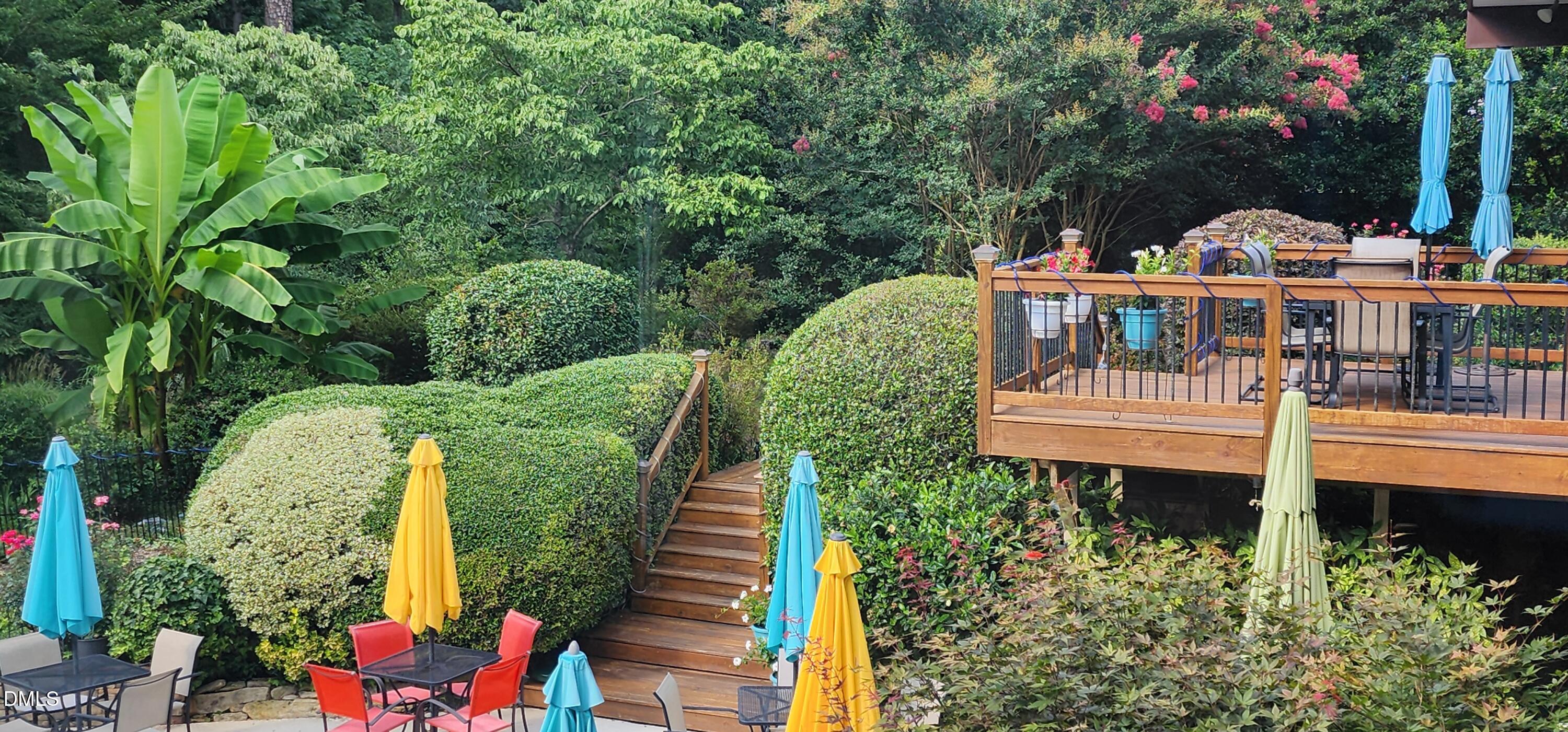 5219 Coronado Drive Raleigh, NC 27609 - Photo 32 of 100 Upper deck_ pool stairs and bushes 20250