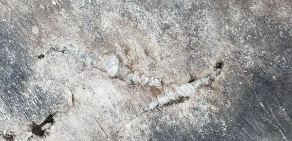 $1,999,950 | 5219 Coronado Drive, Raleigh, NC 27609