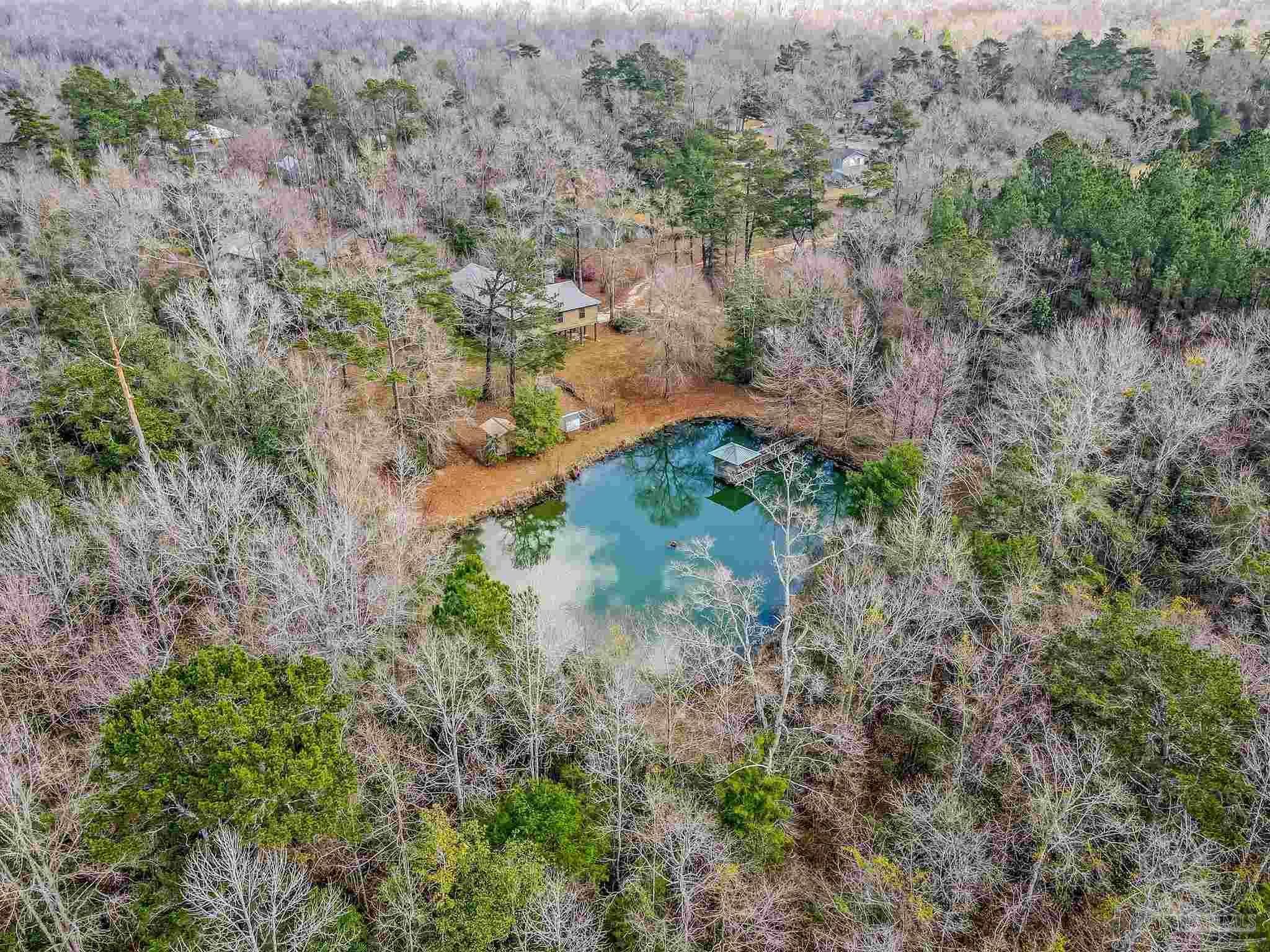 1002 Daffin Road Molino, FL 32577 - Photo 62 of 64