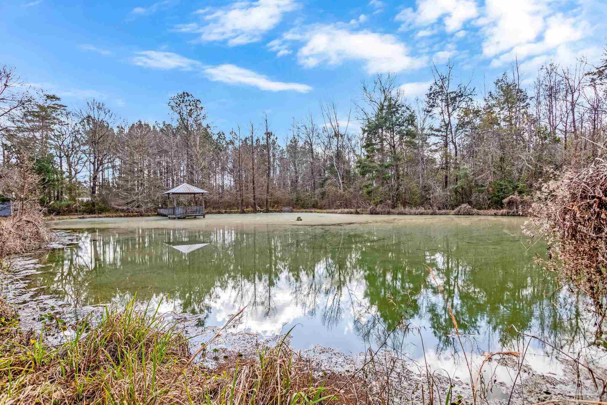 1002 Daffin Road Molino, FL 32577 - Photo 10 of 64