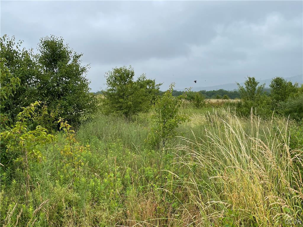 1214 Clearview Road Coplay, PA 18037 - Photo 15 of 15