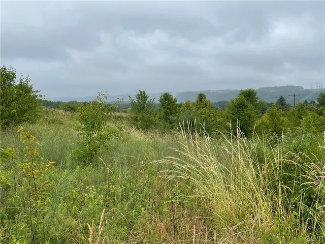 a view of a yard and green space