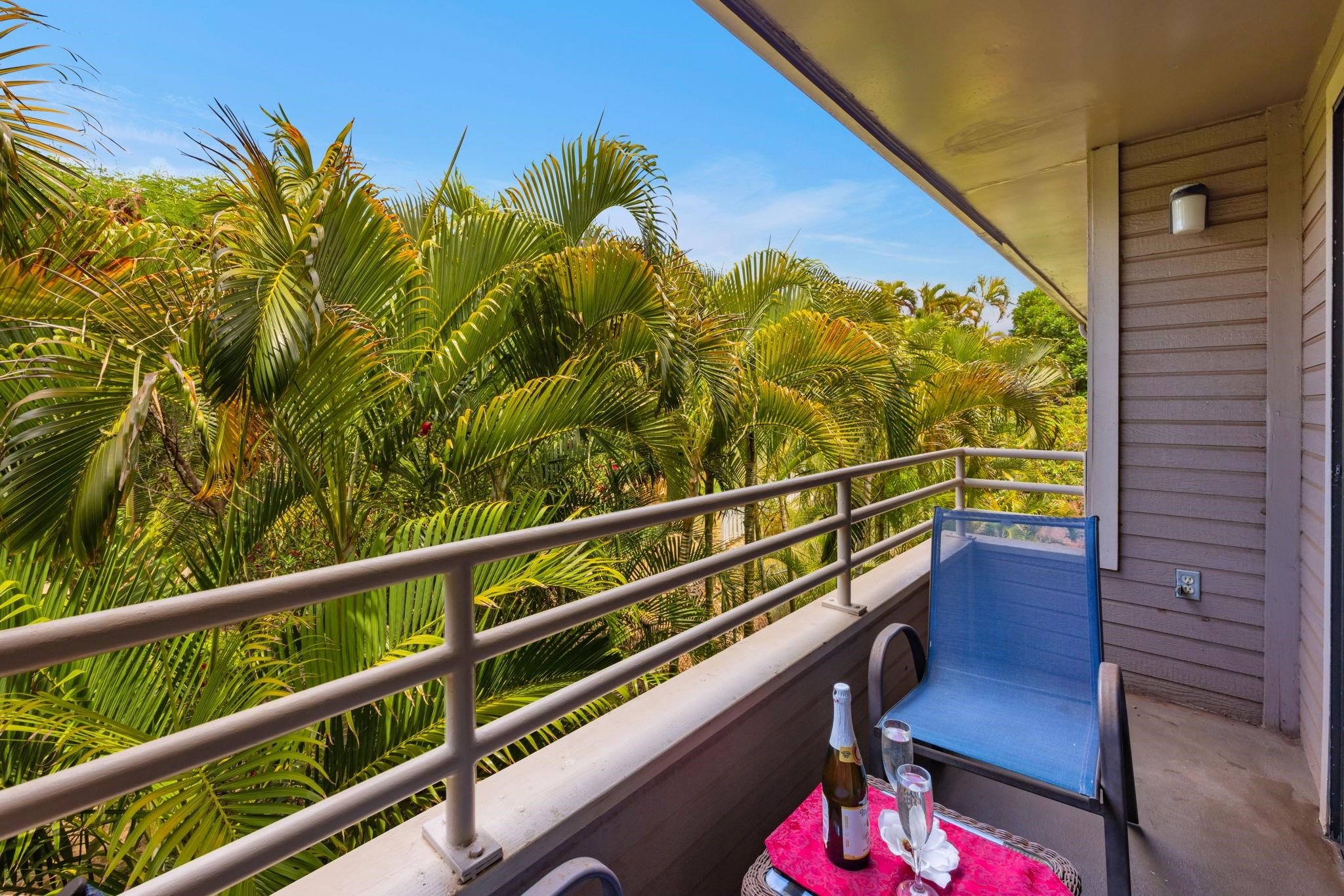 2747 South Kihei Road, Unit C205 Kihei, HI 96753 - Photo 11 of 49 a view of a balcony with wooden floor and fence