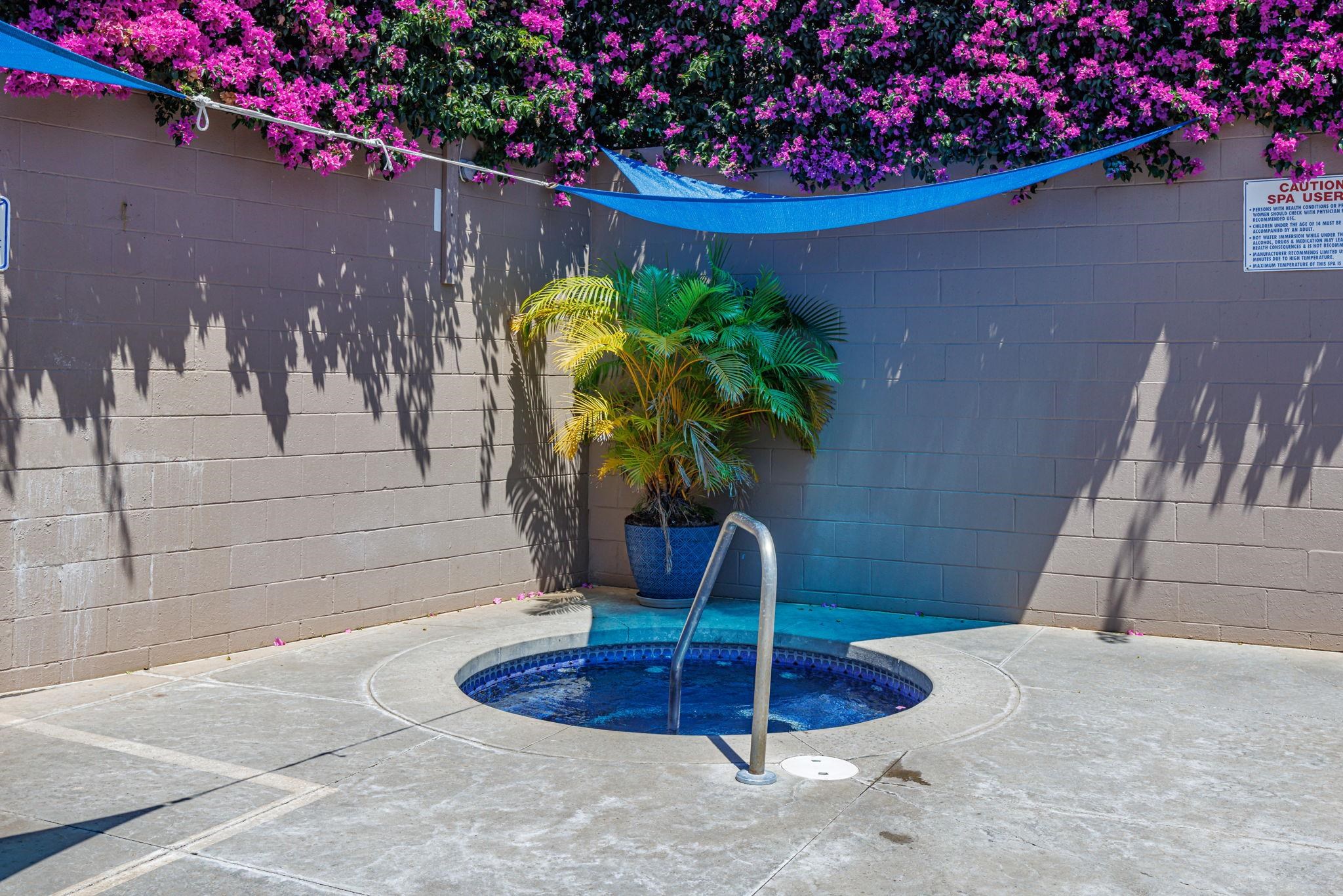 2747 South Kihei Road, Unit C205 Kihei, HI 96753 - Photo 39 of 49 a vase of flowers sitting on a table with window
